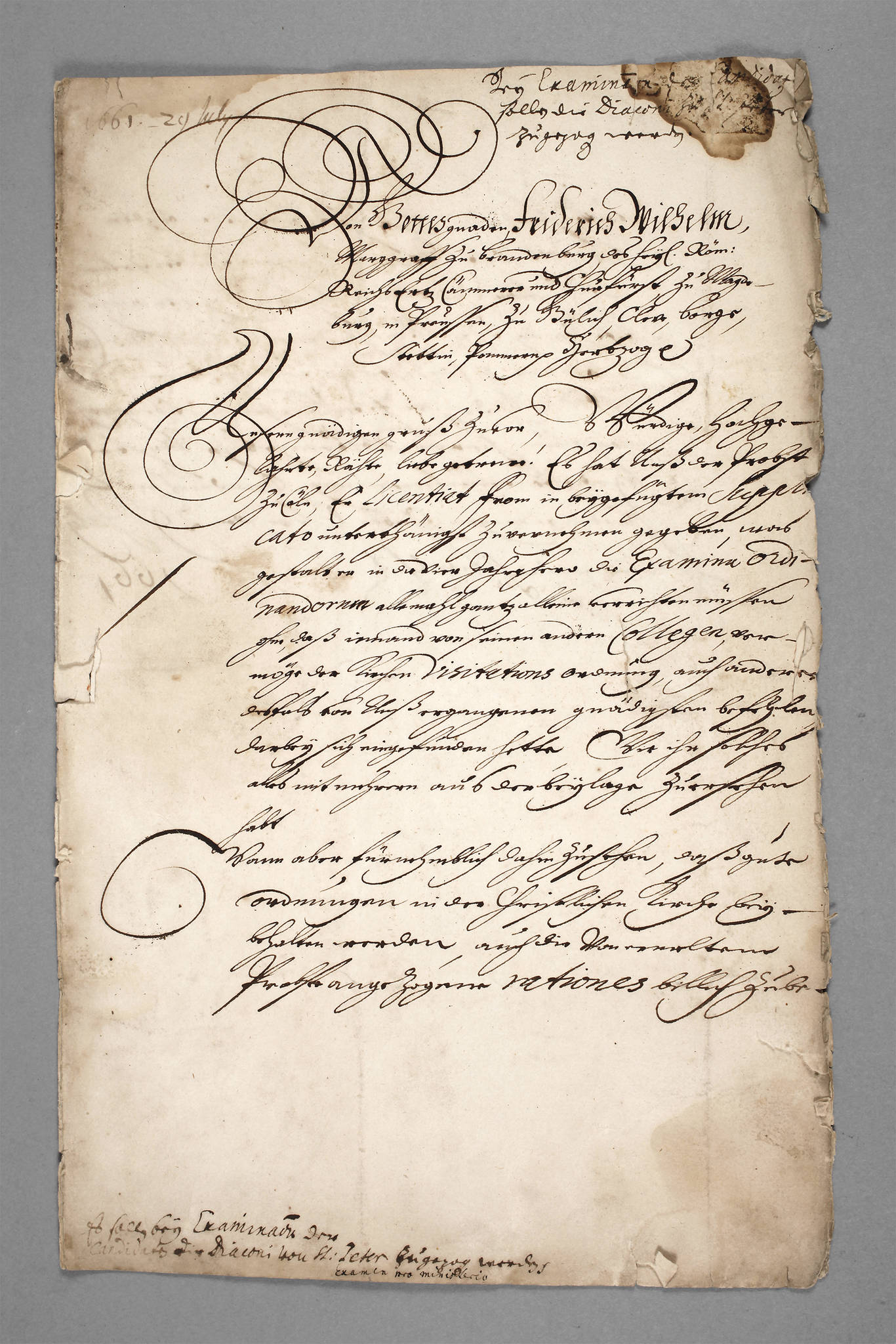 Urkunde Markgraf Friedrich Wilhelm zu Brandenburg