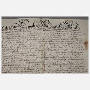 Urkunde Kaiser Leopold I. (HRR)