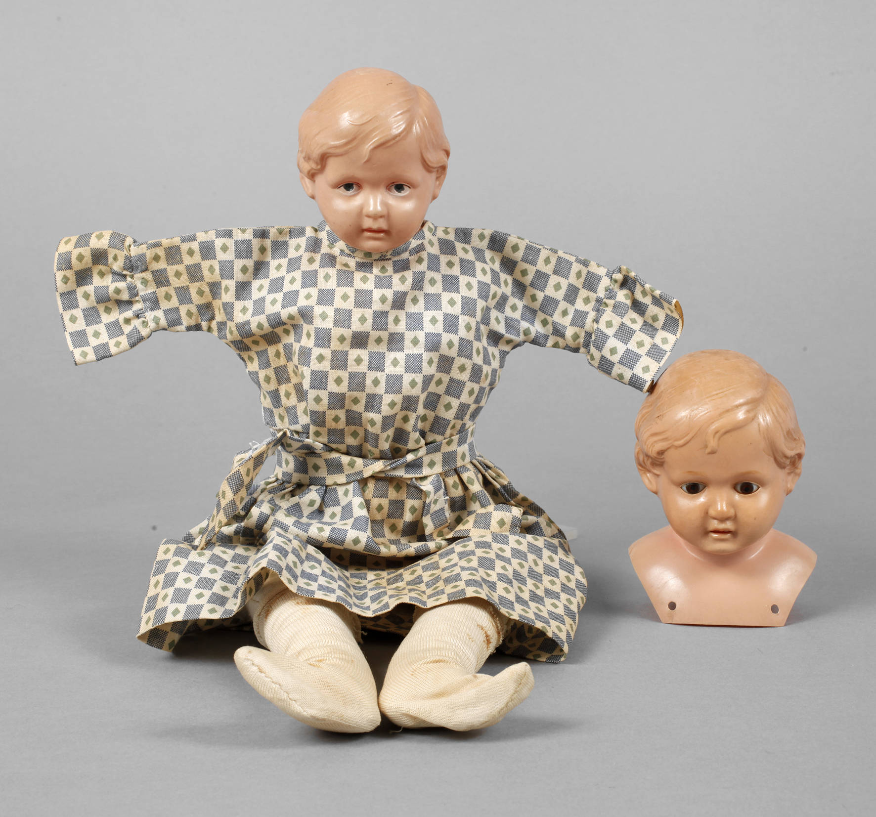 Schildkröt Zwei Brustköpfe