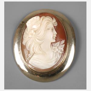 Muschelcamée England