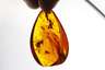 Feiner Bernsteinanhänger