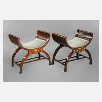 Paar Schwingen Neorenaissance111