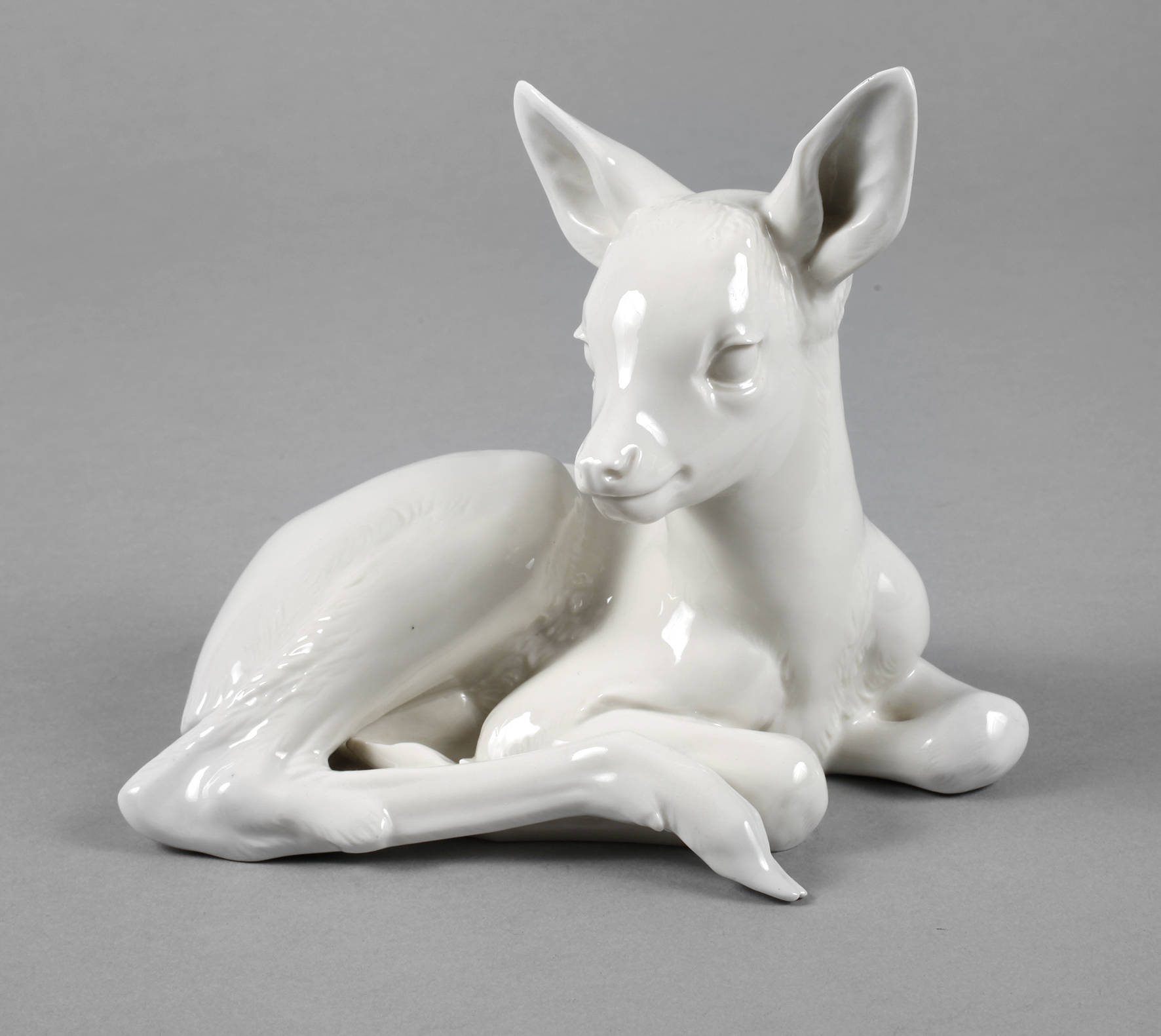 Allach liegendes Rehkitz