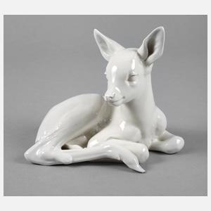 Allach liegendes Rehkitz