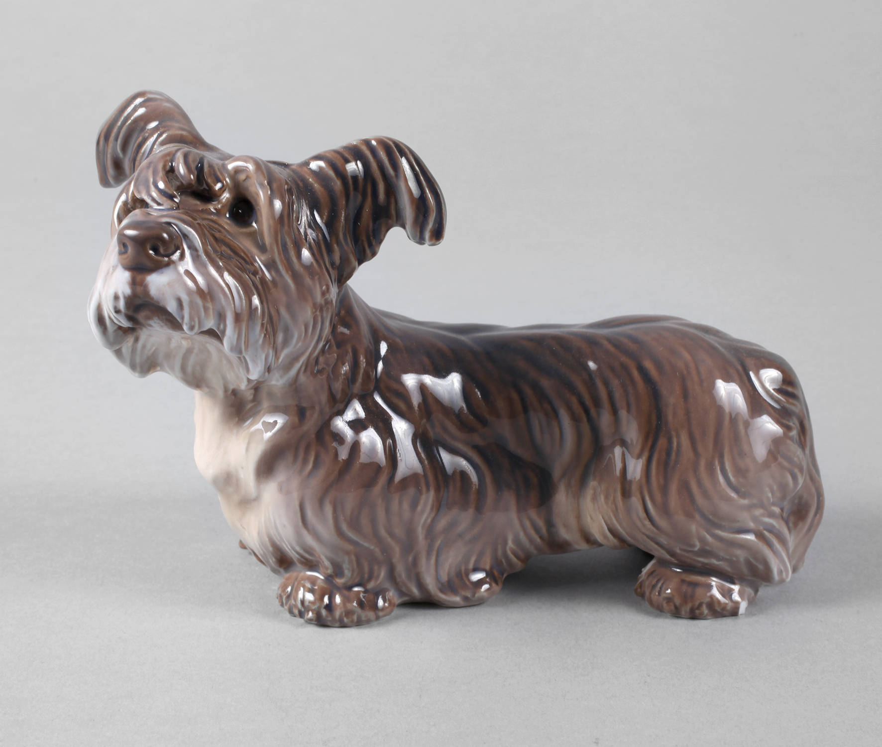 Copenhagen Skye-Terrier