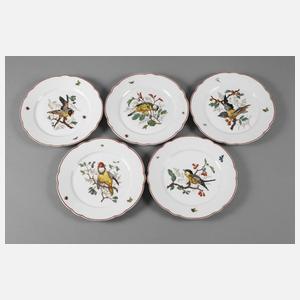 Frankreich fünf Teller mit Vogelmotiven