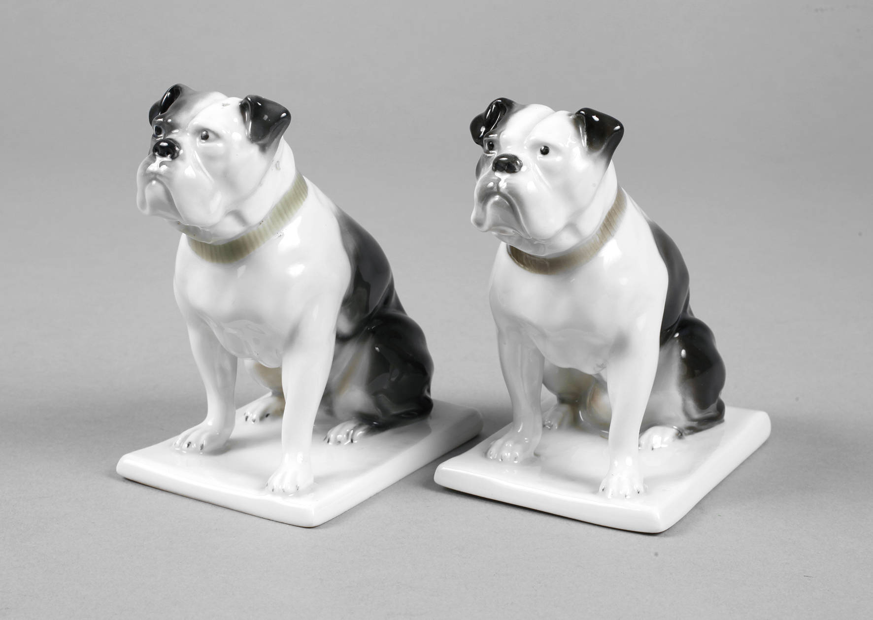 Fraureuth zwei englische Bulldoggen