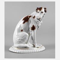 Katzhütte Windhund111