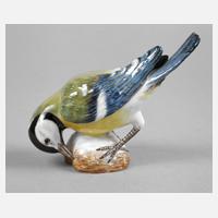 Meissen Blaumeise111