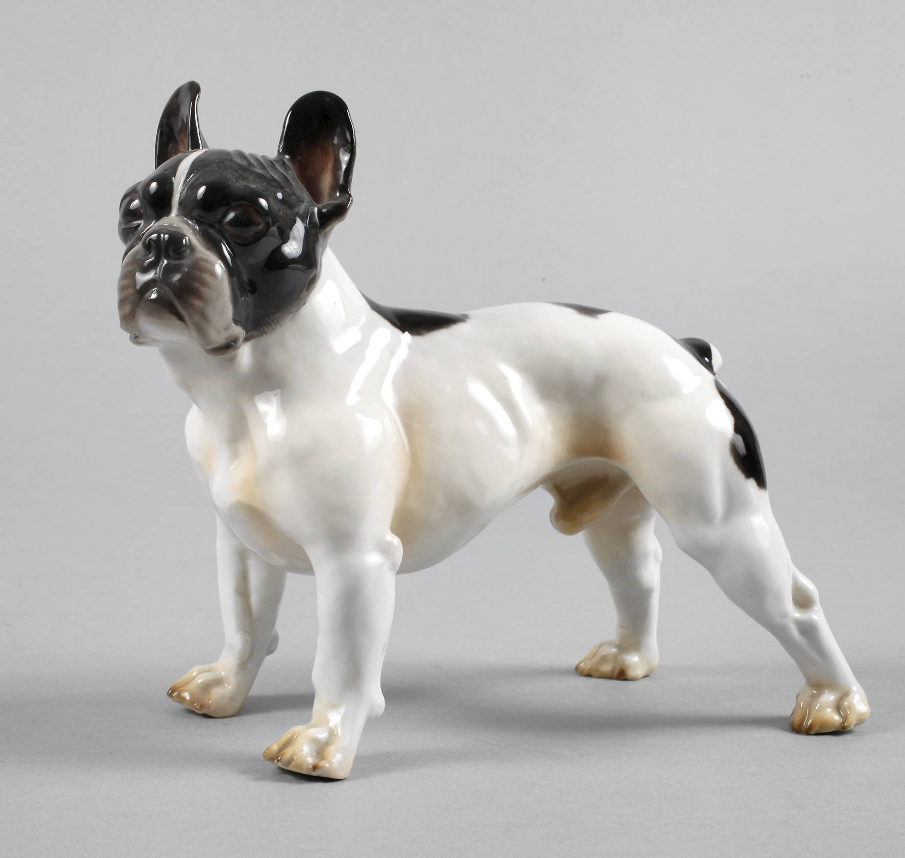 Nymphenburg französische Bulldogge