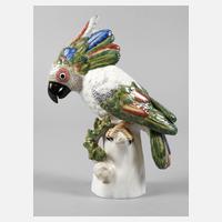 Nymphenburg Kakadu111