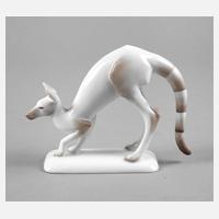 Rosenthal Känguru111