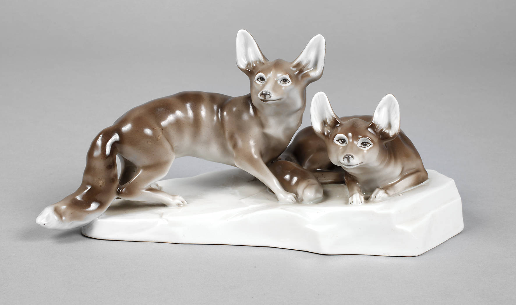 Schlaggenwald Paar Wüstenfüchse