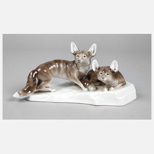 Schlaggenwald Paar Wüstenfüchse