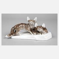 Schlaggenwald Paar Wüstenfüchse111