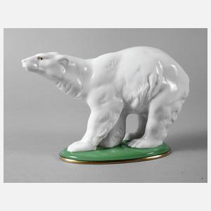 Zeh Scherzer Eisbär