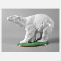 Zeh Scherzer Eisbär111