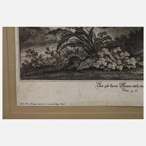 Johann Elias Ridinger, Der Sündenfall