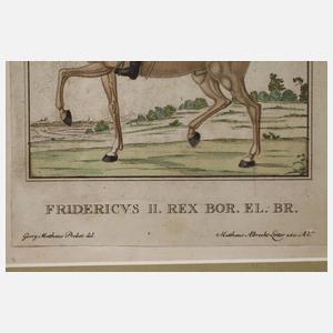 Matthaeus Albrecht Lotter, Friedrich der Große zu Pferd