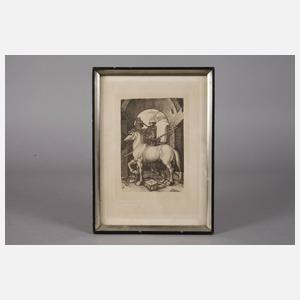 ”Das kleine Pferd” nach Dürer