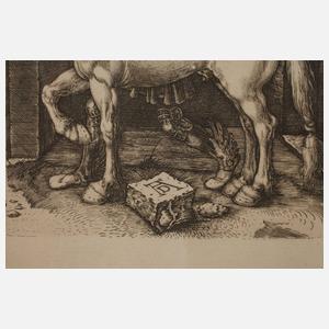 ”Das kleine Pferd” nach Dürer