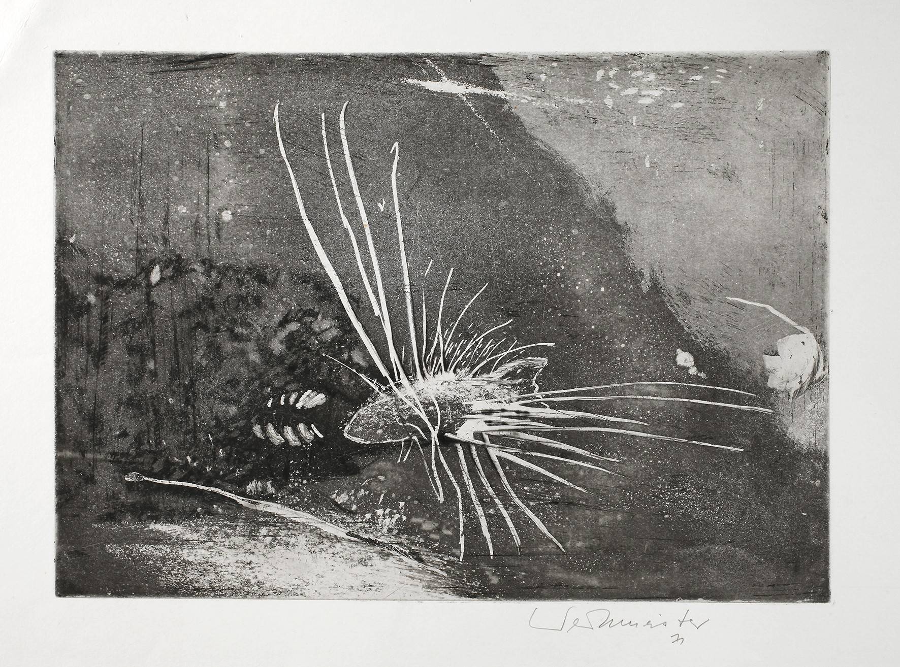 Wolfgang Werkmeister, Unter Wasser