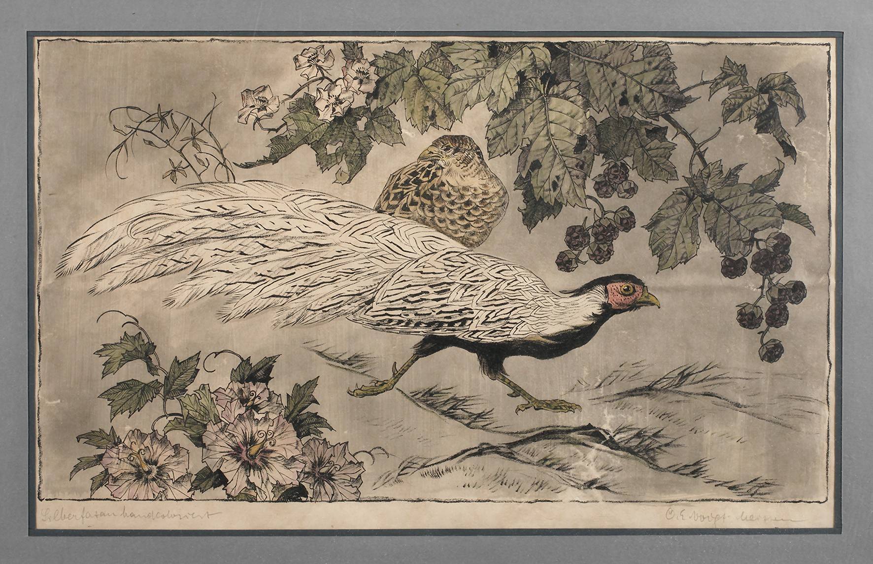 Otto Eduard Voigt, Vogeldarstellung