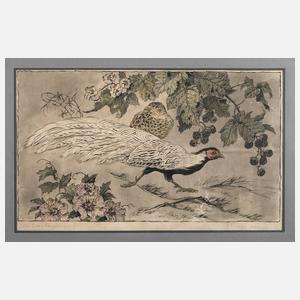 Otto Eduard Voigt, Vogeldarstellung