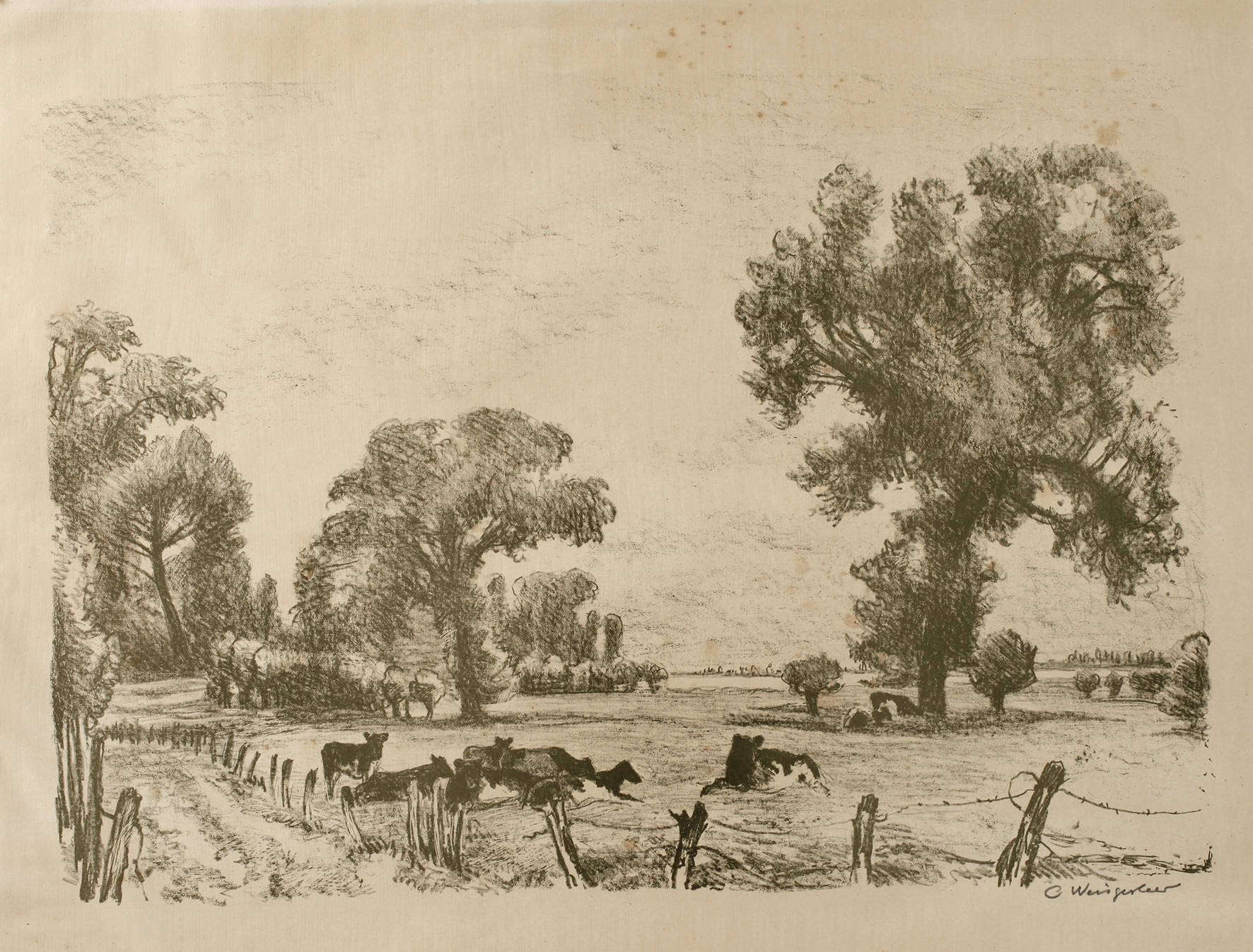 Carl Weisgerber, Weidelandschaft