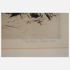 Prof. Hermann Mayrhofer-Passau, Am Stadtrand