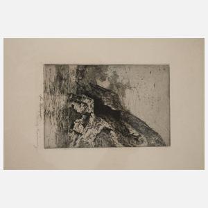 Graphikkonvolut Kasimir