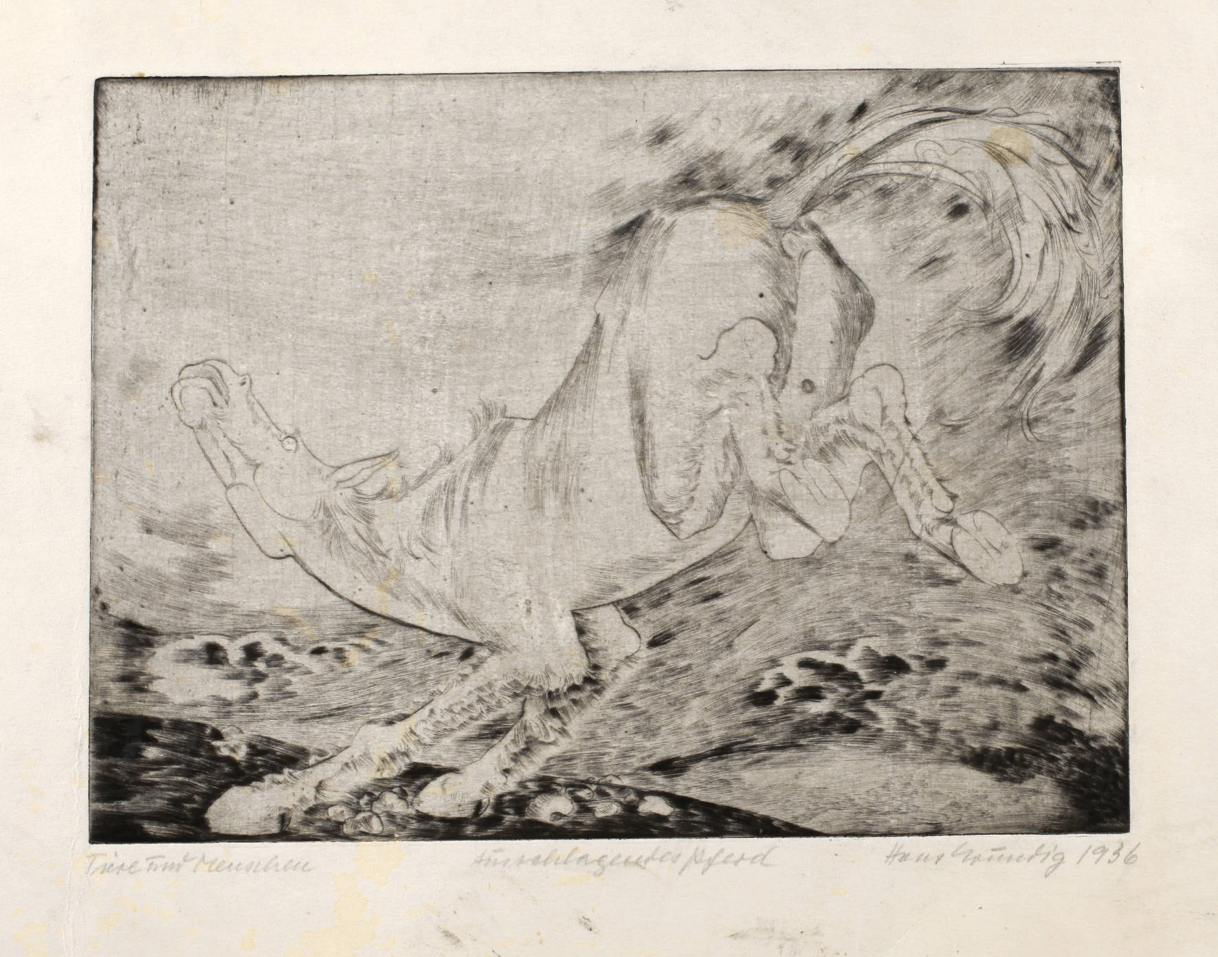 Prof. Hans Grundig, ”Tiere und Menschen – Ausschlagendes Pferd”