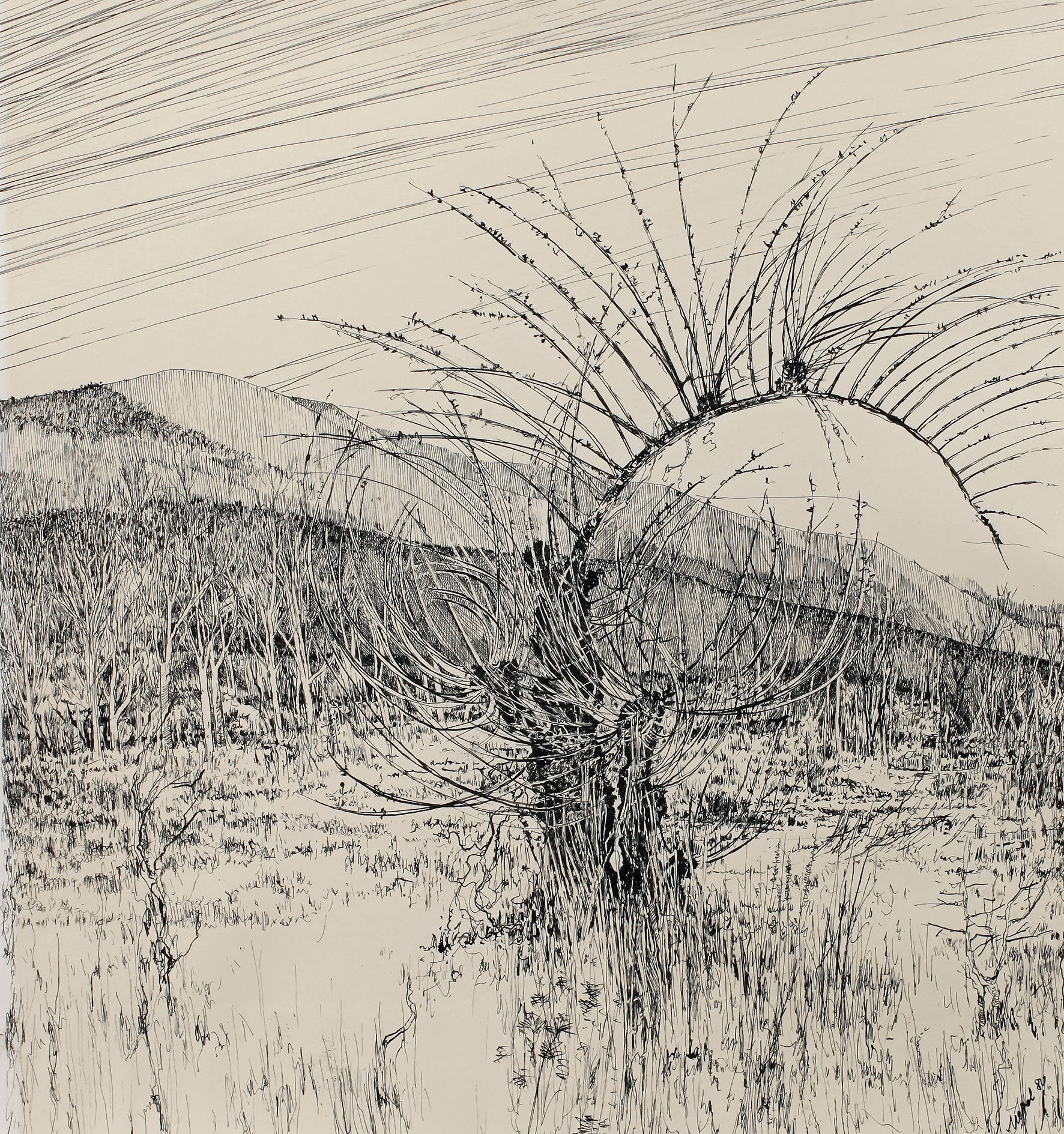 Weide in Vorfrühlingslandschaft