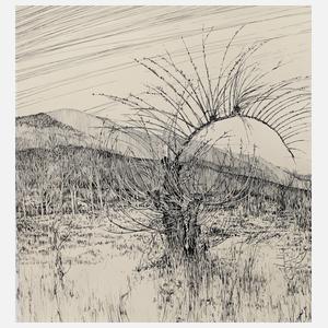 Weide in Vorfrühlingslandschaft