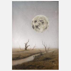 Landschaft im Mondschein