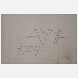 Gregor Thorsten Kozik, ”Vergänglich – jeder Tag”