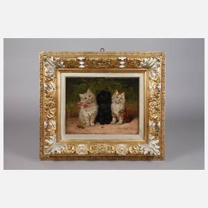 Sophie Spärlich, Katzengruppe