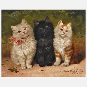 Sophie Spärlich, Katzengruppe