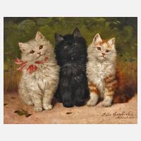 Sophie Spärlich, Katzengruppe111