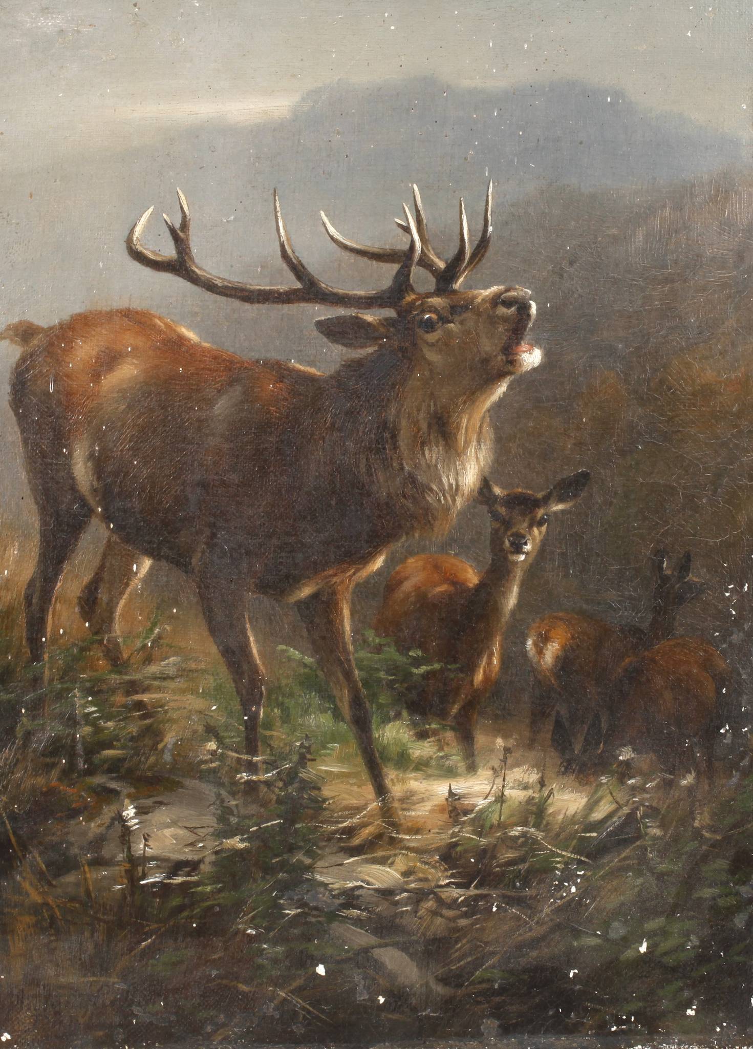 Anton Schmitz, Röhrender Hirsch