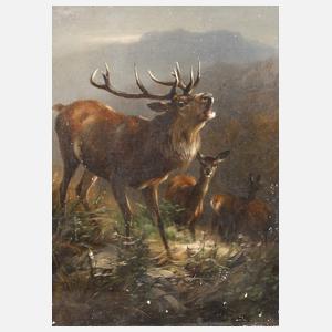 Anton Schmitz, Röhrender Hirsch