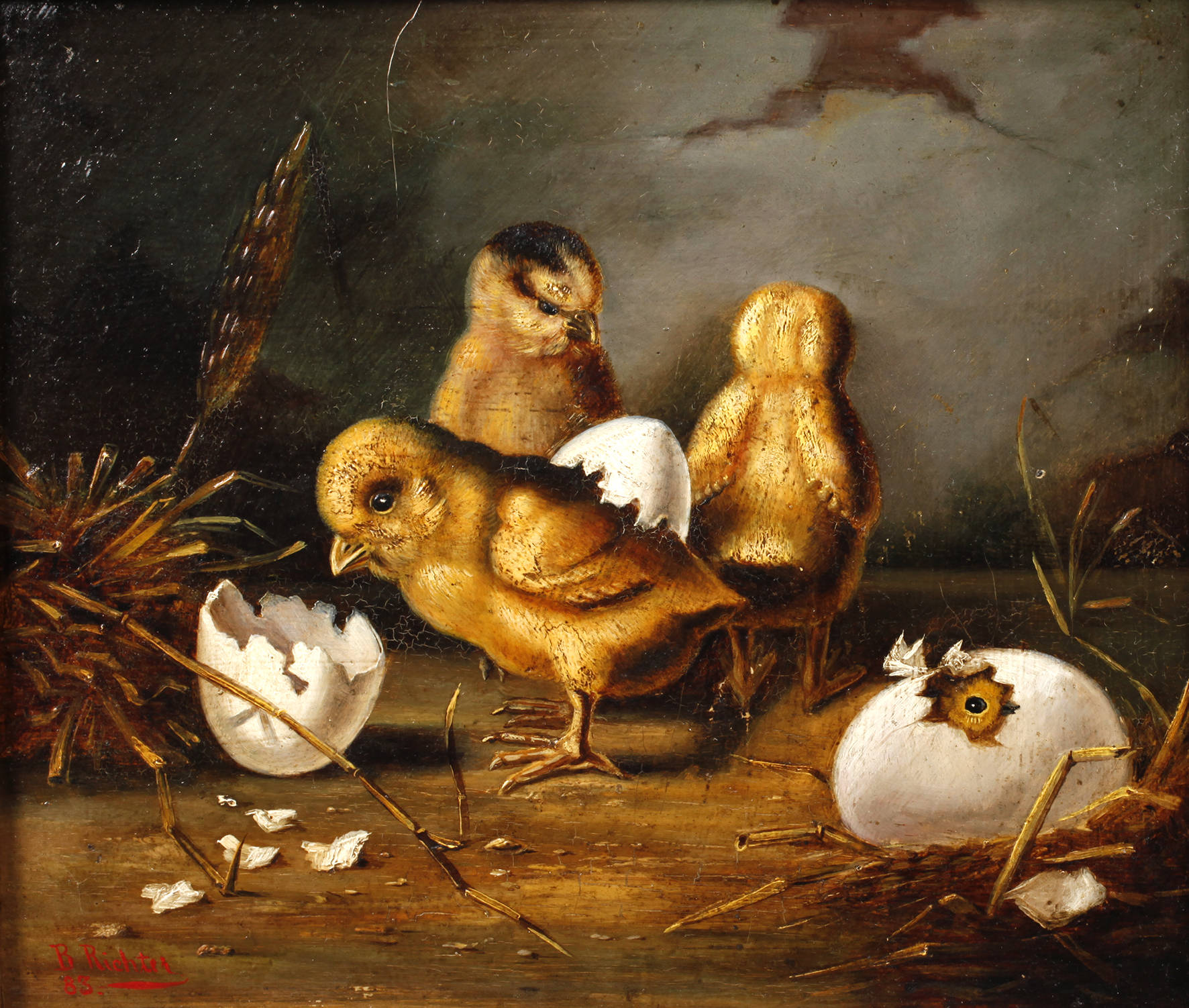 B. Richter, Schlüpfende Küken