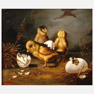 B. Richter, Schlüpfende Küken