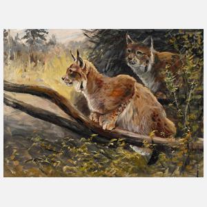 Portrait zweier Luchse