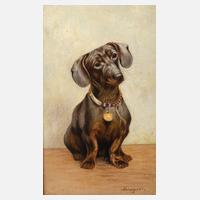 Ferdinand Steiniger, Hundeportrait111