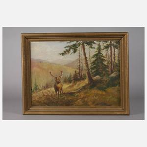 Günther, Hirsch in Gebirgslandschaft