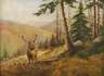 Günther, Hirsch in Gebirgslandschaft