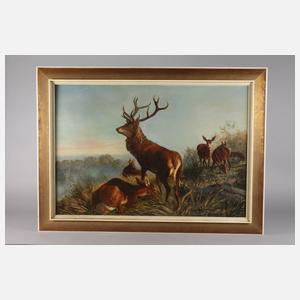 Rotwildrudel im Morgengrauen