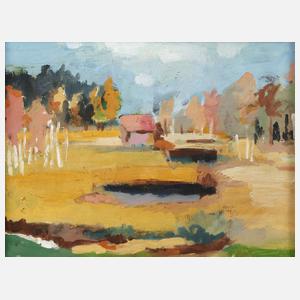 Lichte Sommerlandschaft