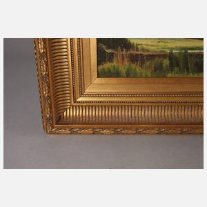 Prof. Emil August Theodor Wennerwald, Sommer am Weiher